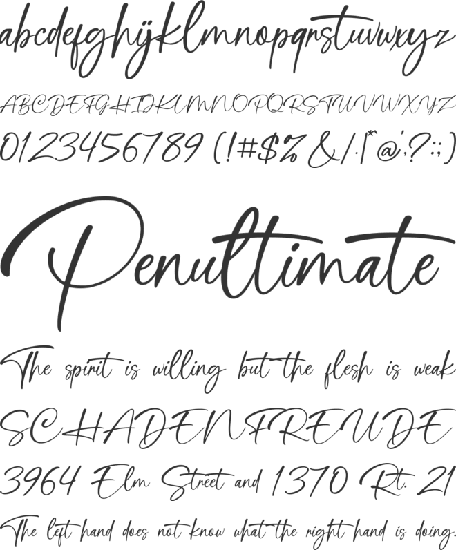 Cathelink font preview