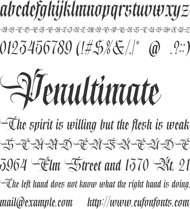 Blink Round font preview