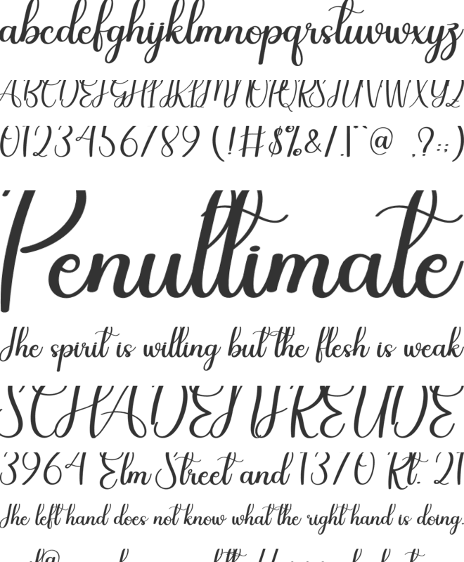Autography font preview