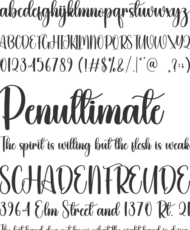 Chubby font preview