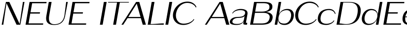 NEUE ITALIC font