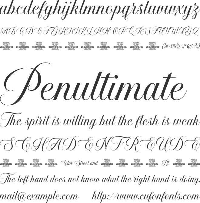 Fortalesia Plain PERSONAL USE font preview