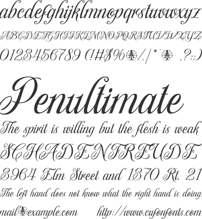 Svarajka Personal Use Only font preview