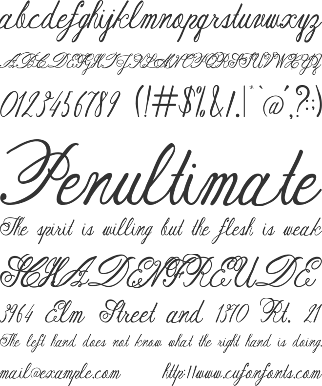 Austie Bost Rest of Our Lives font preview