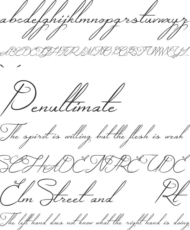 Mysterious Elegance font preview