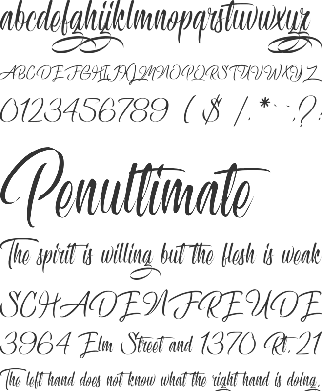 Confidential Document font preview