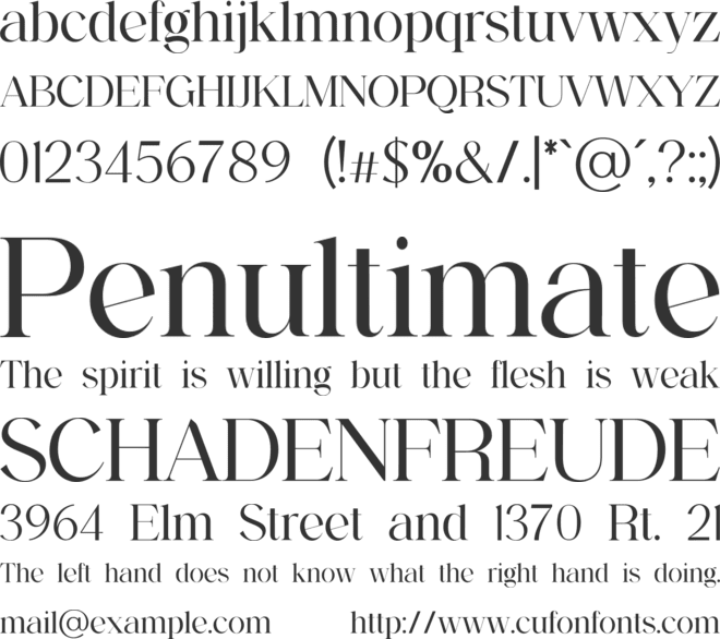 backswings font preview