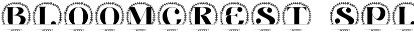 Bloomcrest Split Monogram font