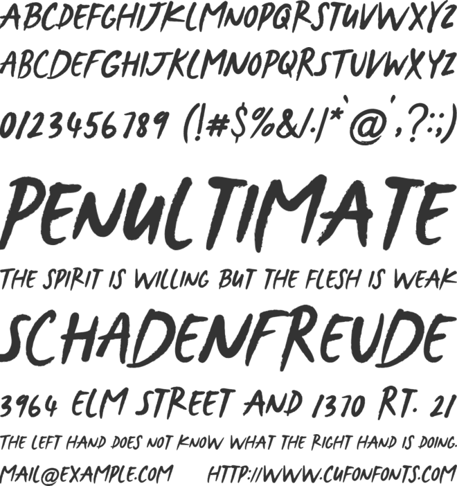 DailyNotes font preview