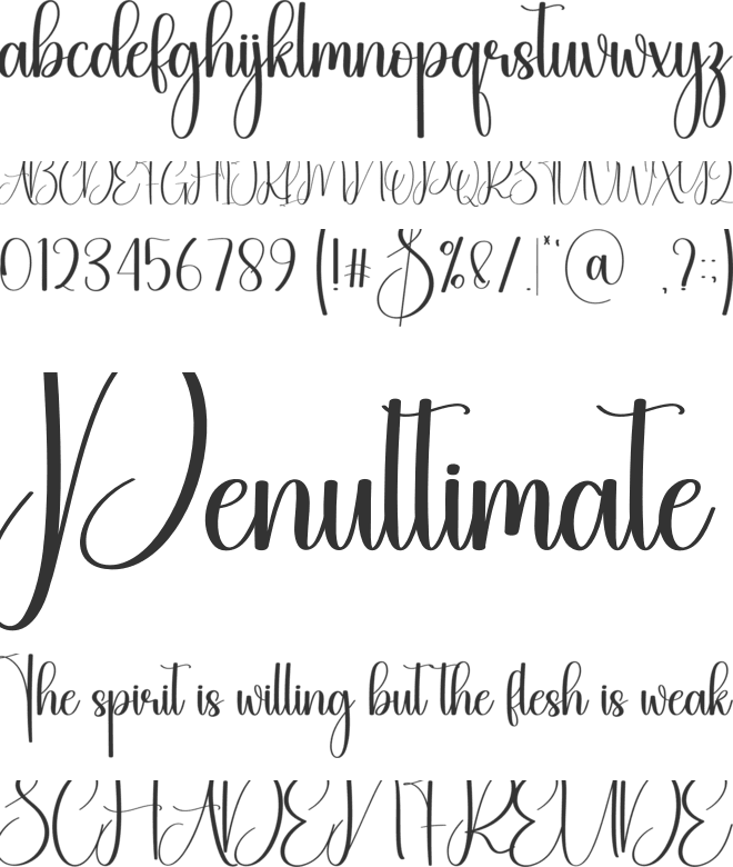 Overlay font preview