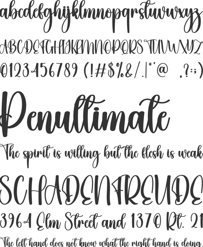 Mountain Vacation font preview