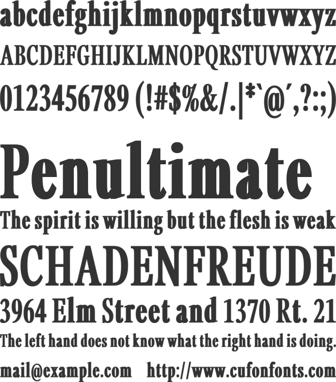 Nimbus General L font preview