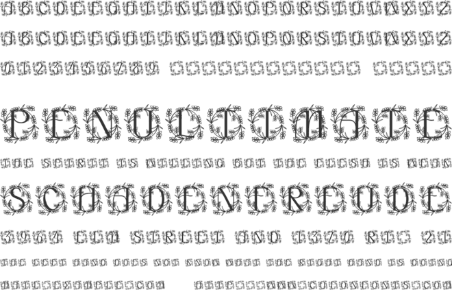 Elarose Monogram font preview