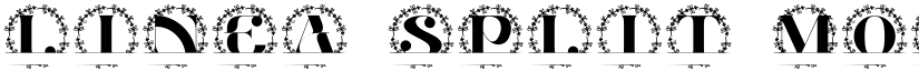 Linea Split Monogram font