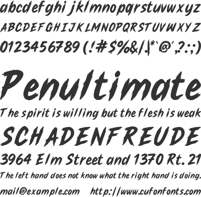 Rowler Wild font preview