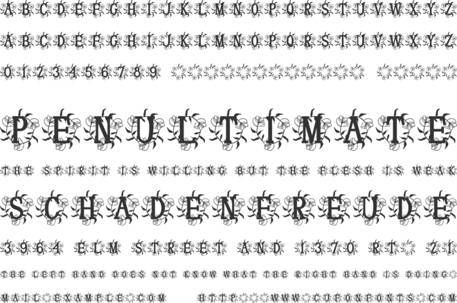 Orvara Monogram font preview