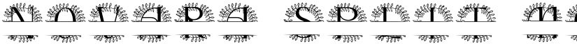 Novara Split Monogram font
