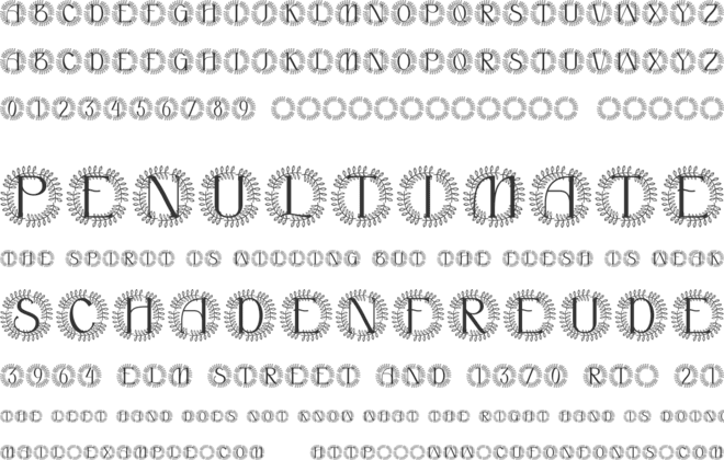 Novara Monogram font preview