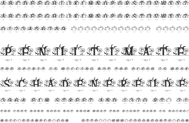 Orvara Split Monogram font preview