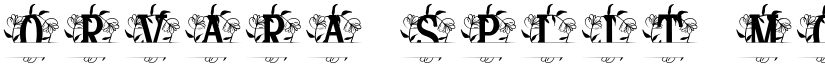 Orvara Split Monogram font