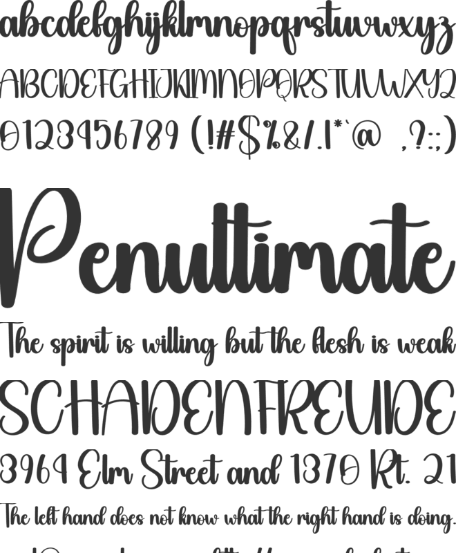 Vacation font preview