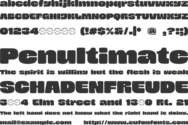 Boldnova font preview