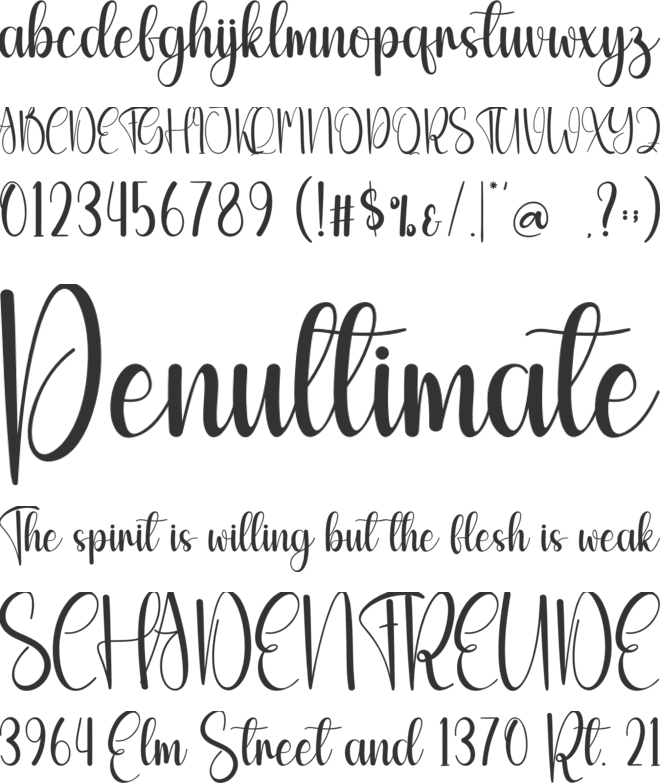 Monday Signature font preview