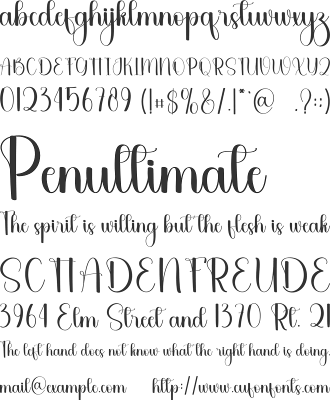 Western Script font preview