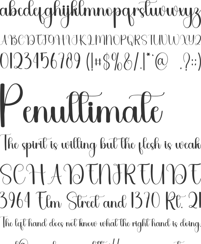 School Priority font preview
