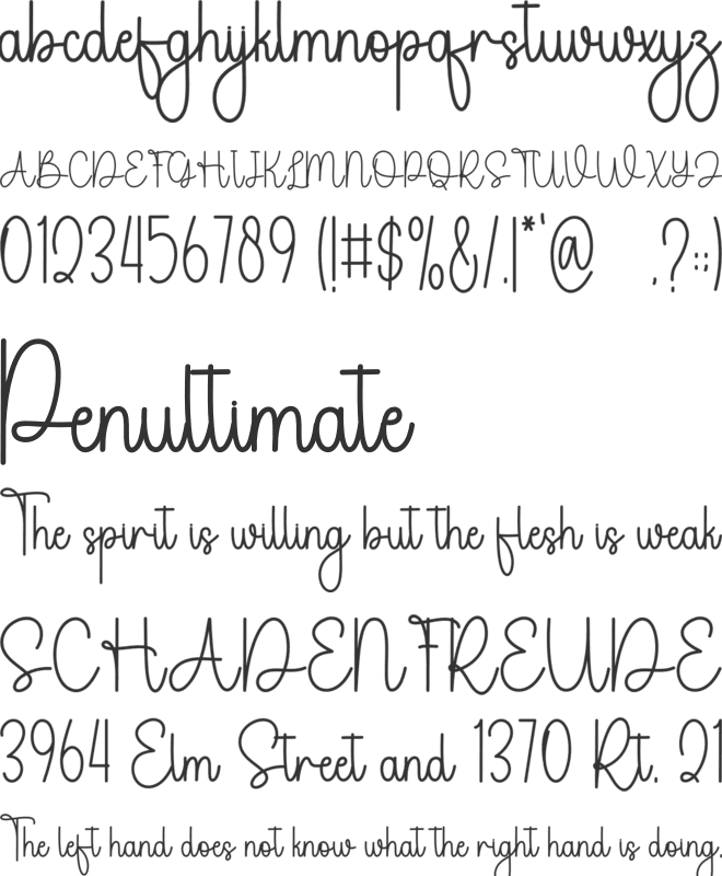 Pleasure font preview