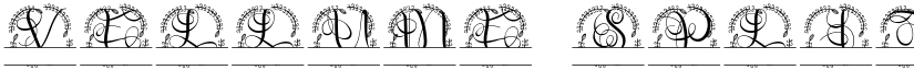 Vellume Split Monogram font