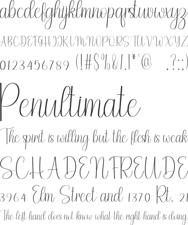 Wedding Memories font preview