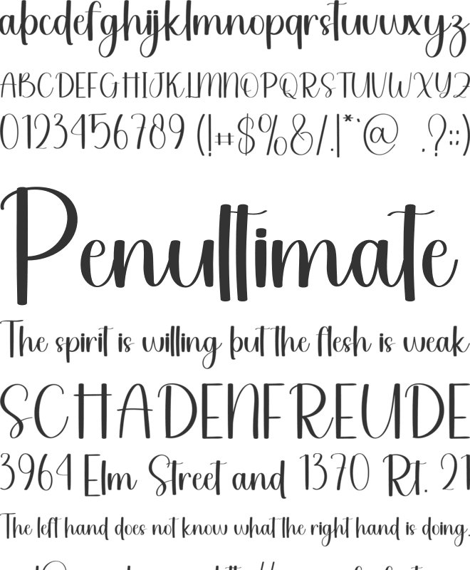 America font preview