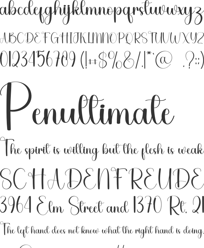 Snack font preview