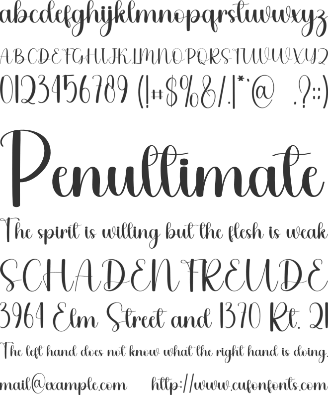 January Payment font preview