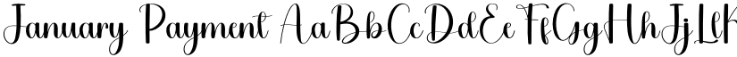 January Payment font