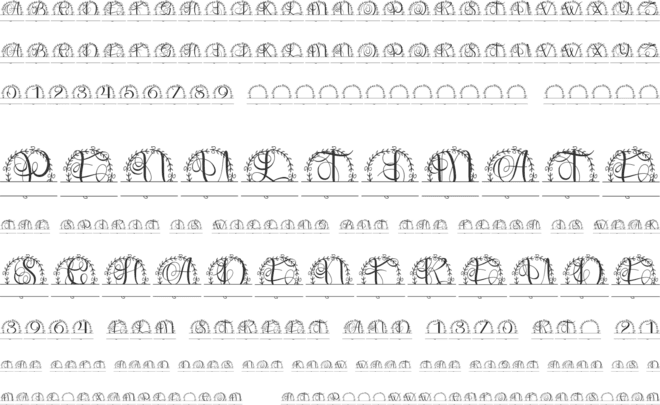 Aurielle Split Monogram font preview