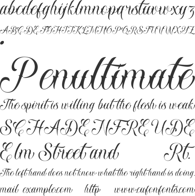 NOCTHANE font preview