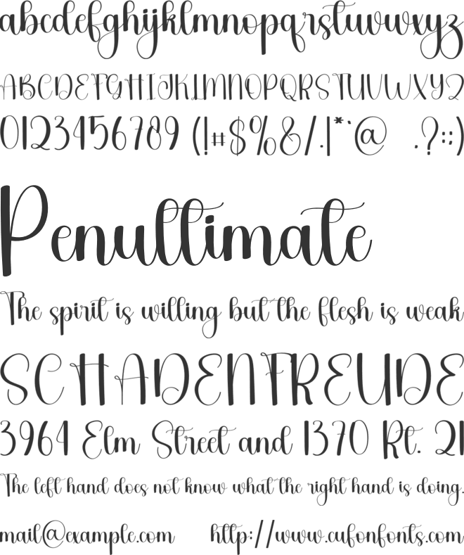 Teacher Line font preview