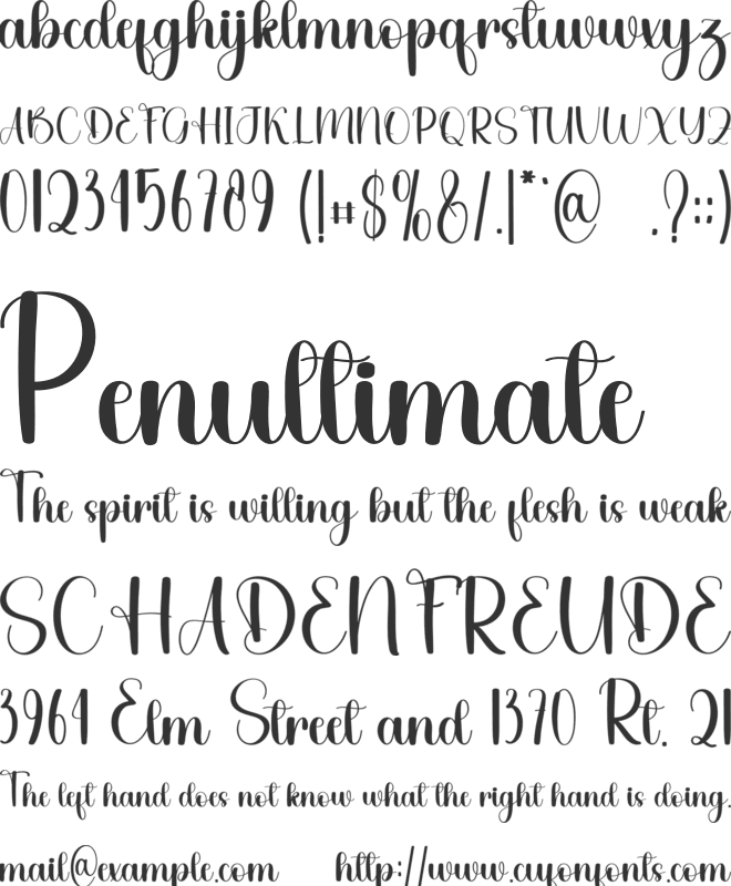 Assume font preview