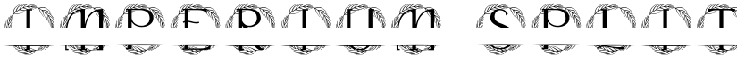 Imperium Split Monogram font