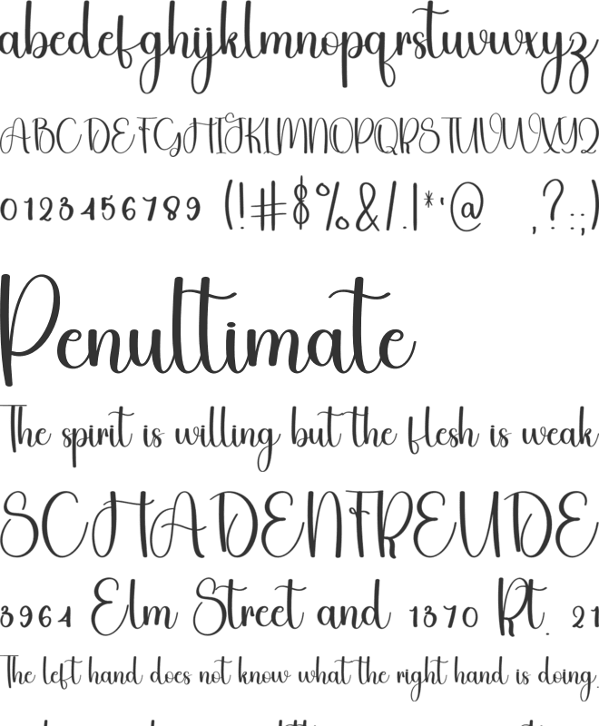 Paradise Western font preview