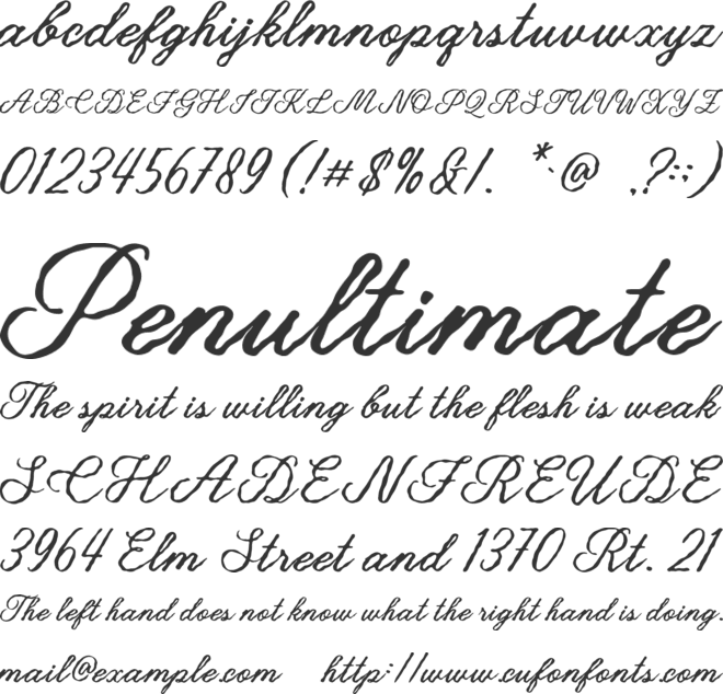 Palmeria font preview