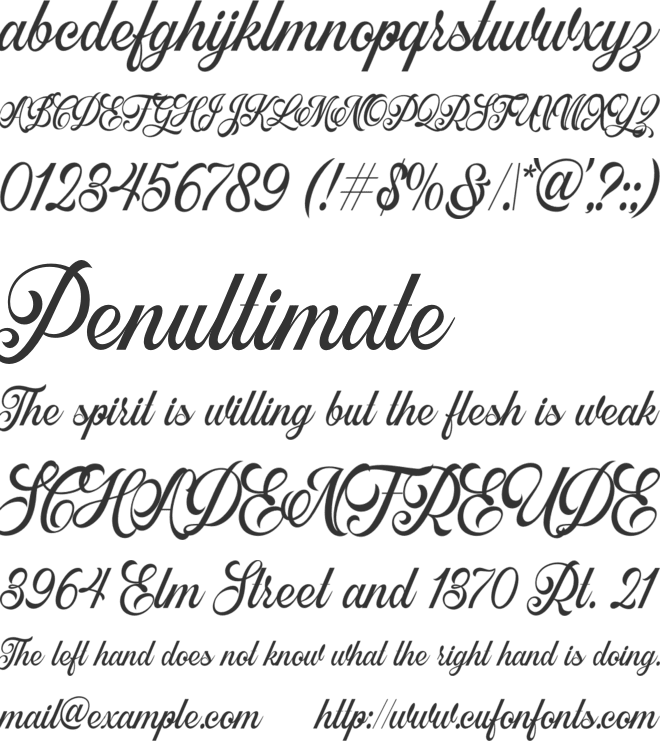 Daustley font preview