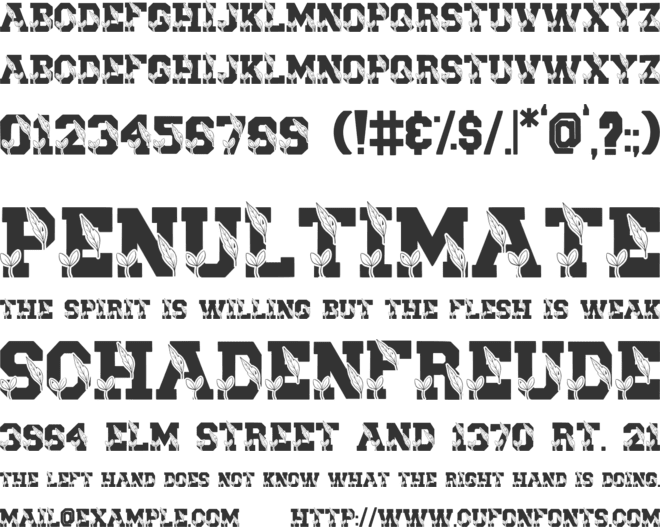 Scholar Thanksgiving font preview