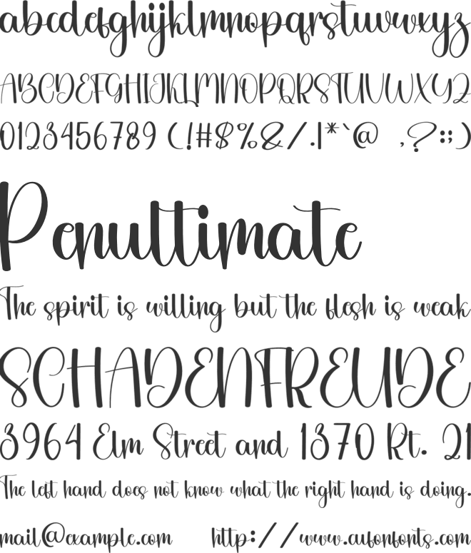 Summer Flower font preview