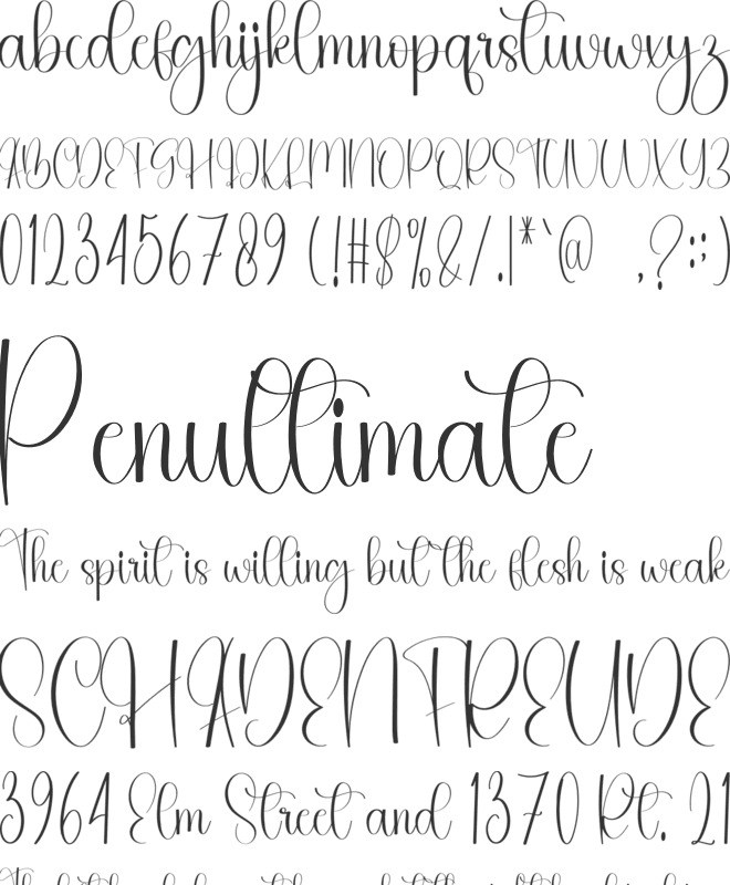 Stylist Calligraphy font preview