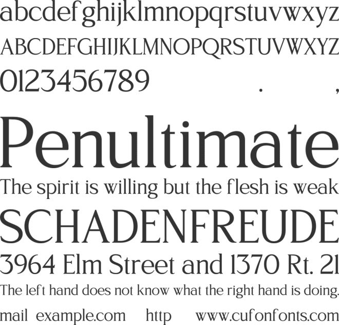 TT Northem Mini Edition font preview