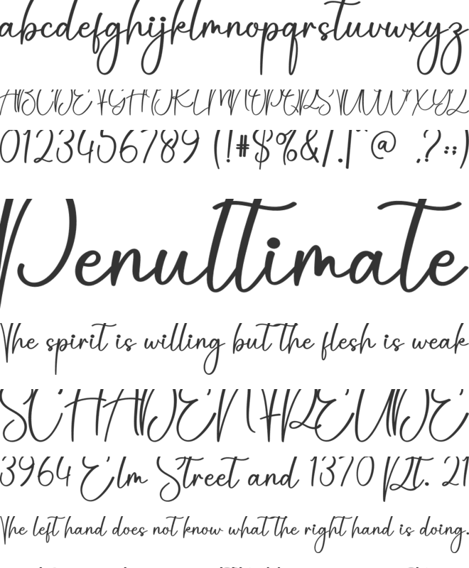 Photography font preview