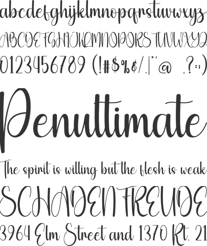 Beauty Kitten font preview